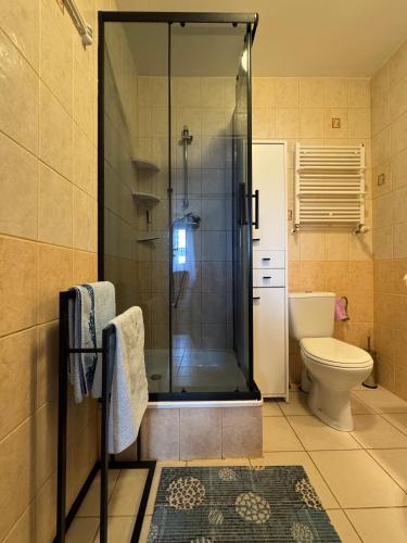a bathroom with a shower and a toilet at Marino in Kołobrzeg