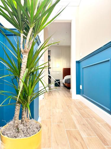 a potted plant in a hallway with a blue wall at Charm Airport in Reggio di Calabria