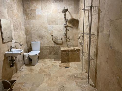 a bathroom with a shower and a toilet and a sink at La Bergerie Luxury cottage and pool on eco-friendly micro-farm in Duravel