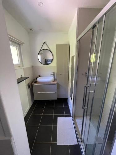 une salle de bain avec une douche, un lavabo et un miroir dans l'établissement Le petit cocon à la campagne, à Beuzevillette