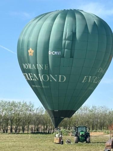 a green hot air balloon in a field at Cannister Hall Apartment, Selling, Faversham, Kent in Faversham