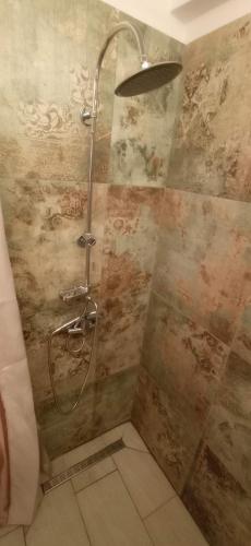 a shower with a shower head in a bathroom at Entrata Pirano in Piran