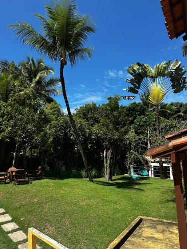 a palm tree in a yard with grass and trees at Pousada Pangea Tropical in Arraial d'Ajuda