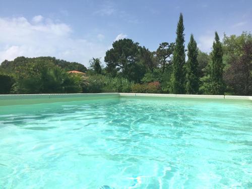 Πισίνα στο ή κοντά στο Villa Torre 9P AC 2 pools 300 m from the sea