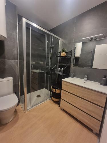 a bathroom with a shower and a toilet and a sink at Tu Refugio en el Centro Histórico de Castro in Castro-Urdiales