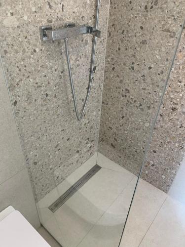 a shower with a glass door in a bathroom at Apartman Mare Blace in Blace