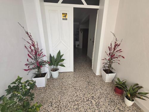 a hallway with potted plants and a white door at Hotel Aleks in Shkodër