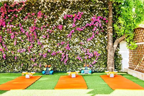 three meditation mats in front of a wall with pink flowers at Dream on Plaka in Plaka