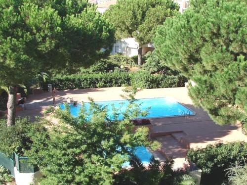 - une vue sur la piscine bordée d'arbres dans l'établissement Grand F2 40 m2 Centre Port, Loggia 5m2, Vue jardin, Belle Terrasse, Parking privé, au Cap d'Agde