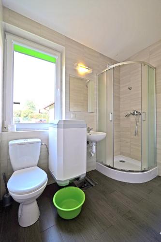 a bathroom with a toilet and a shower and a sink at Domki TERRA in Debina