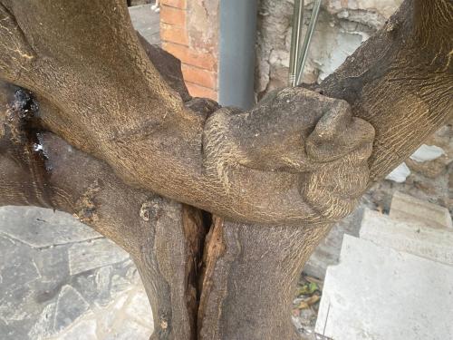 Villetta Garbata photo 43
