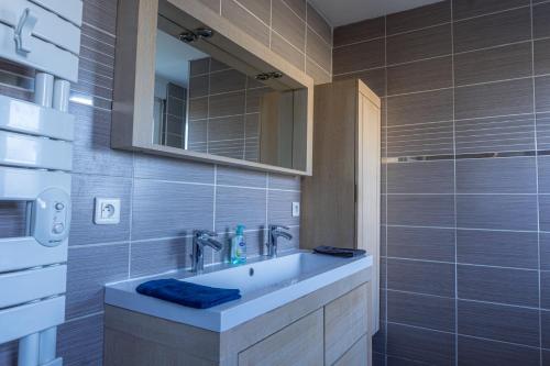 une salle de bain avec un lavabo et un miroir dans l'établissement Le Sans Soucis, à Colmar