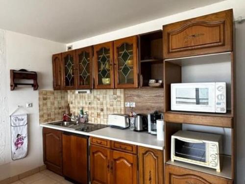 フォール・マオン・プラージュにあるStudio vue incroyableのキッチン(木製キャビネット、シンク、電子レンジ付)