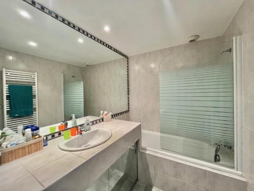 une salle de bain avec un lavabo, une douche et un miroir dans l'établissement Gardenia apartment, à Cannes