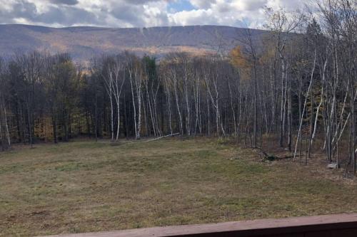 a field with trees and a hill in the background at Beautiful Log Ski Cabin Belleayre Mtn Views in Pine Hill
