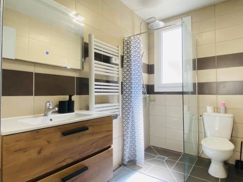 une salle de bain avec toilettes, lavabo et douche dans l'établissement La PAUSE RUTHENOISE, à Rodez