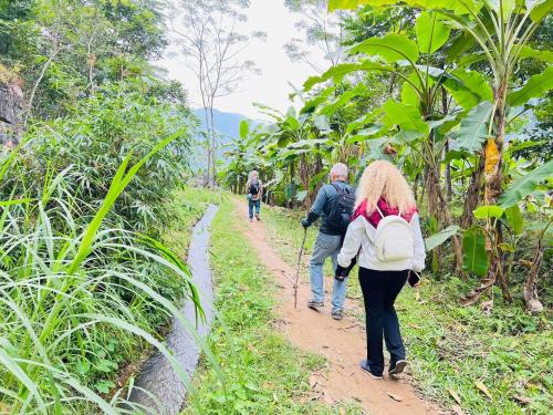 a group of people walking down a dirt trail at MAI HICH FARMSTAY 2 in Mai Hạ