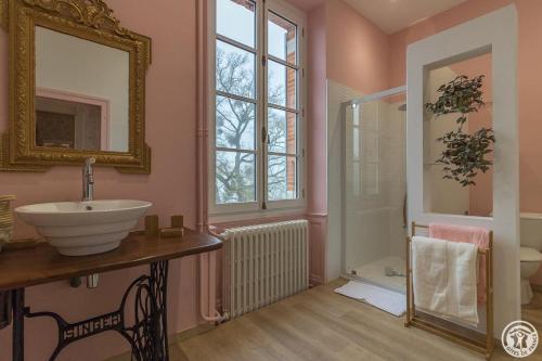 a bathroom with a sink and a mirror and a shower at Château de puydaniel in Puydaniel