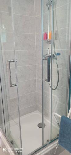 une douche avec une porte vitrée dans une salle de bain dans l'établissement Maison proche parc Disney, à Montry