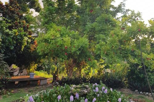 a garden with a bench and trees and flowers at Private Hilltop - Garden Apartment - Orange Bay in Orange Bay