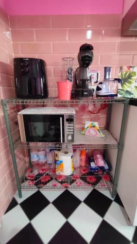 a shelf with a microwave on a pink wall at Secret Room Anagni in Anagni