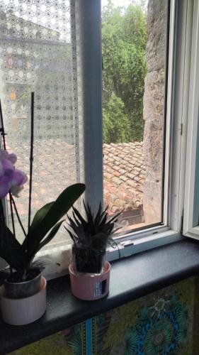 two potted plants sitting on a window sill at Secret Room Anagni in Anagni