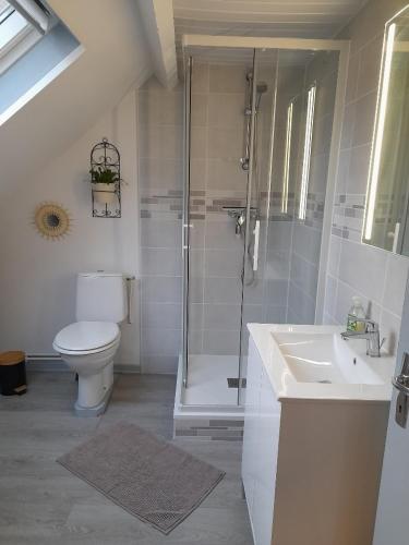 une salle de bain avec une douche, des toilettes et un lavabo dans l'établissement LOLA, à Montigny-sur-Crécy