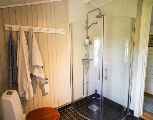 a bathroom with a shower and a toilet at Unigue mountain lodge in the heart of Jämtland in Undersåker