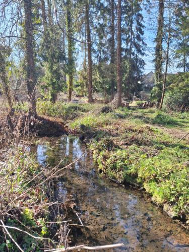 a stream in a wooded area with trees at Le Refuge des Libellules in Fresnoy-la-Rivière