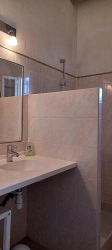 une salle de bain avec un lavabo et un miroir dans l'établissement Résidence Le Padro - Calvi - F2 45m2 climatisé, à Calvi