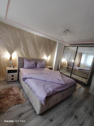 a bedroom with a large bed and a mirror at Studio Vale in Hunedoara