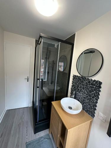 une salle de bain avec un lavabo et un miroir dans l'établissement Le chal'heureux, Appartement chic au cœur d'Épernay, à Épernay