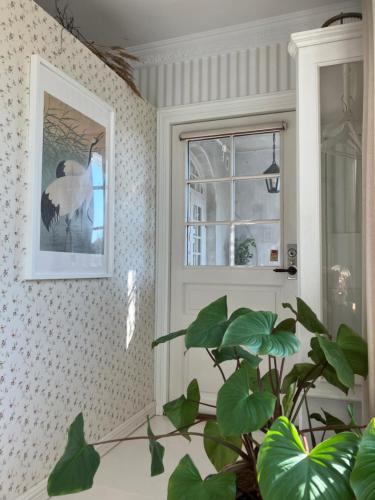 a room with a window and a potted plant at B&B Österlens RosenTrädgård in Glemmingebro