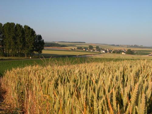 a field of wheat with houses in the distance at Charmant gîte familial en Touraine avec cheminée - FR-1-381-617 in Verneuil-le-Château