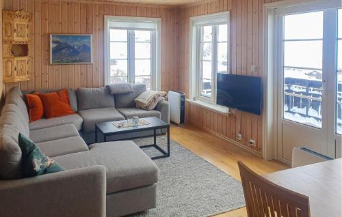 Μια τηλεόραση ή/και κέντρο ψυχαγωγίας στο 3 Bedroom Awesome Home In Åseral