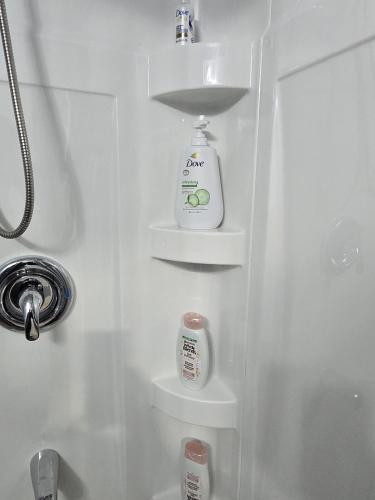 a bathroom with a shower with a bottle and shelves at Jaykay executive suite in Winnipeg