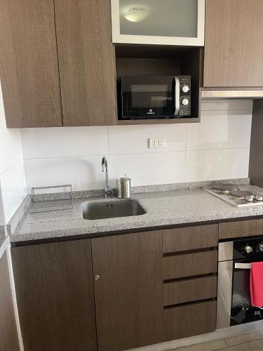 a kitchen with a sink and a microwave at 17 Apartamento en Santiago en frente a Metro - Estadio - Hipodromo de Chile in Santiago