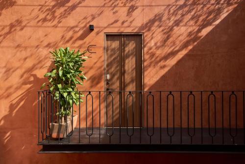 a balcony with two potted plants on a building at Casa Cunda in Oaxaca City