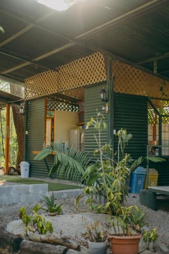 a green house with plants in a yard at Chilamate Rainforest Beach Retreat in Nosara