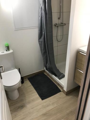 une salle de bain avec douche et toilettes dans l'établissement STUDIO à ROUILLON, à Rouillon