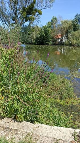 Φωτογραφία από το άλμπουμ του Bienvenue en bord de meuse σε Bazoilles-sur-Meuse