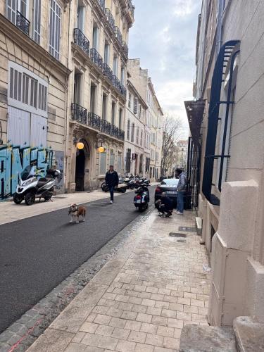 Photo de la galerie de l'établissement Studette Plein Centre Ville Marseille, à Marseille