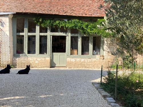 two black cats sitting in front of a building at Cambraye in Marcilly-sur-Vienne