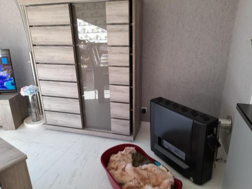 a living room with a television and a dog in a basket at Superbe appartement à koksijde (coxyde) in Koksijde
