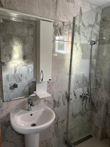 a bathroom with a sink and a shower at Benelux Šušanj in Bar