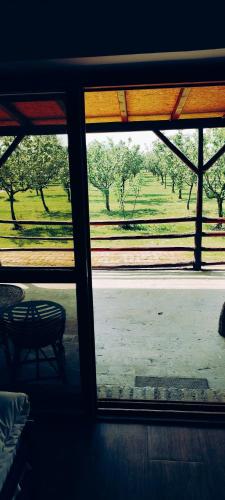 a view of a field from a window of a room at Salaš Farma 47-Miris Dunja in Čenej
