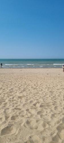 a sandy beach with a person and a horse in the ocean at Superbe appartement à koksijde (coxyde) in Koksijde