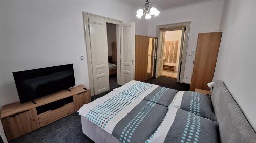 Un dormitorio con una cama y un televisor de pantalla plana. en City center apartment Thomas No3, en Praga