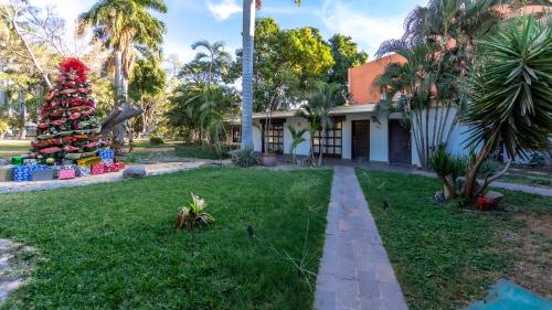 a christmas tree in the yard of a house at InHouse Select Hacienda Tres Rios Hotel Culiacán in Culiacán