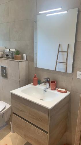 a bathroom with a sink and a mirror at U citraghju in Feliceto